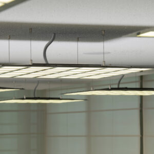 Fixture: GL350 OLED luminaire from Michael Hammers