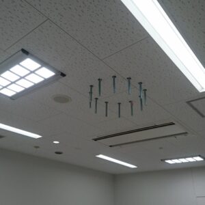 Fixture: OLED downlights from Miwa Electric Medical Co., Ltd