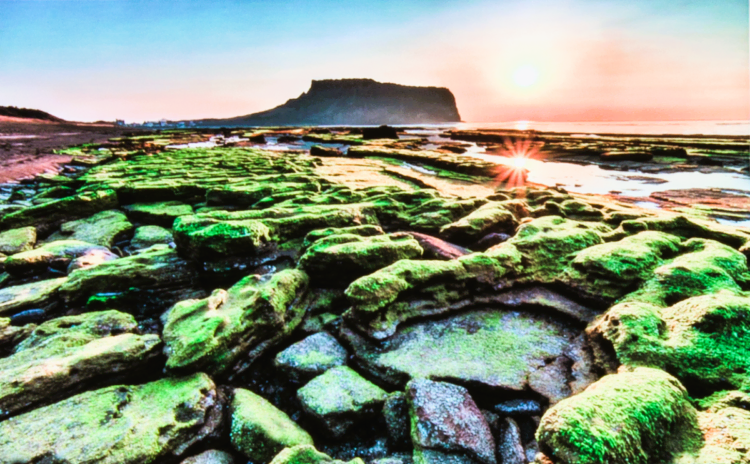 Mossy rock landscape with setting sun in the background.